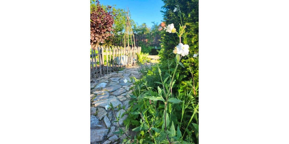 Bungalow Willebadessen - 6 Zimmer, 184 m&sup2;, 320.000&euro; | Angebot:26835265