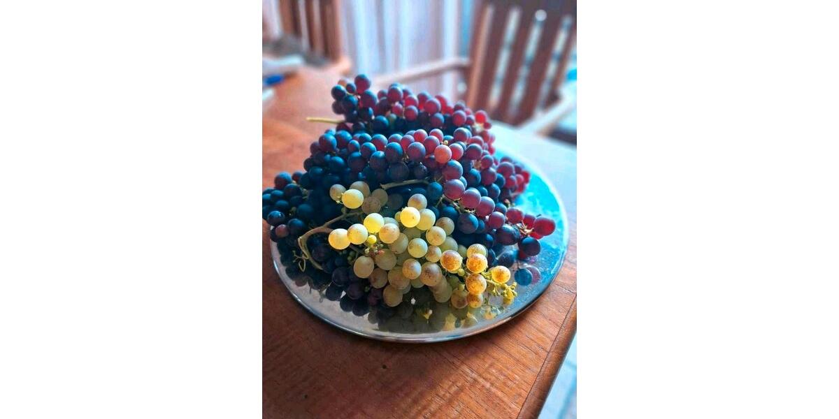 Einfamilienhaus Zeven - 8 Zimmer, 300 m&sup2;, 699.000&euro; | Angebot:25942775