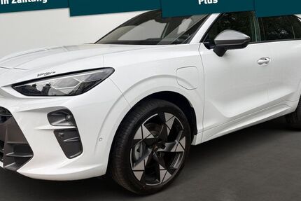 Cupra Terramar 4.000 km 42.770 &euro; Lindenberg 88161