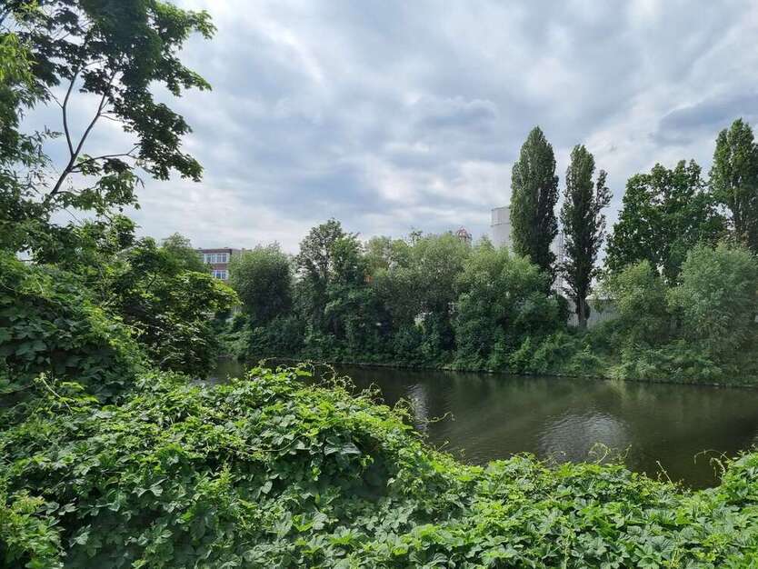 Halle in Berlin 1.900.000 € 2388 m²