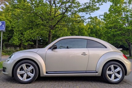 VW Käfer