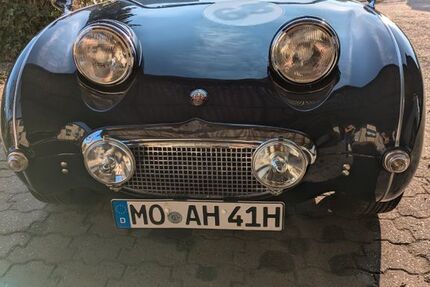 Austin Healey Andere
