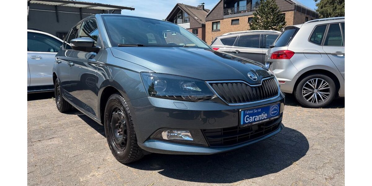 Skoda Fabia 171.373 km 3.950 &euro; Bochum 44791