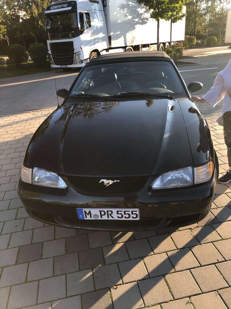 Mustang
