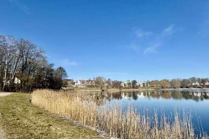 Wohnung zum Mieten in Neustrelitz 640 € 81.25 m² 2.5 zimmer