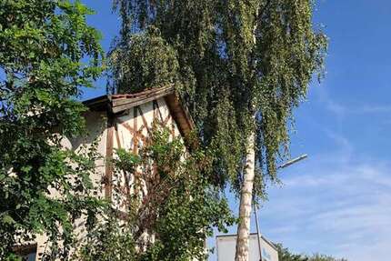 Wohnung zum Mieten in Bayerbach bei Ergoldsbach 450 € 31 m²