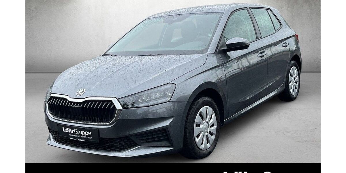 Skoda Fabia 19.488 km 12.480 &euro; Mainz 55120