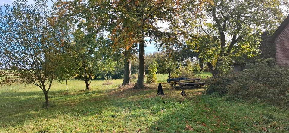 Bauernhaus, Landhaus Kaufungen - 3 Zimmer, 90 m&sup2;, 184.000&euro; | Angebot:26562433