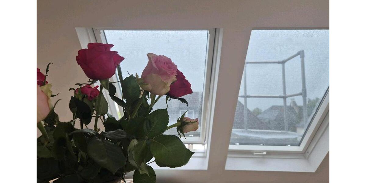 Dachgeschoßwohnung Frankfurt am Main Gallus - 3 Zimmer, 77 m&sup2;, 1.150&euro; | Angebot:25420638