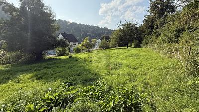 VIEL PLATZ FÜR IHRE BAUPLÄNE - Grundstück Staufenberg | Angebot:27329263