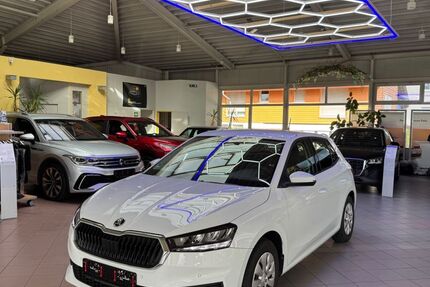 Skoda Fabia 44.624 km 16.980 &euro; Oberderdingen 75038