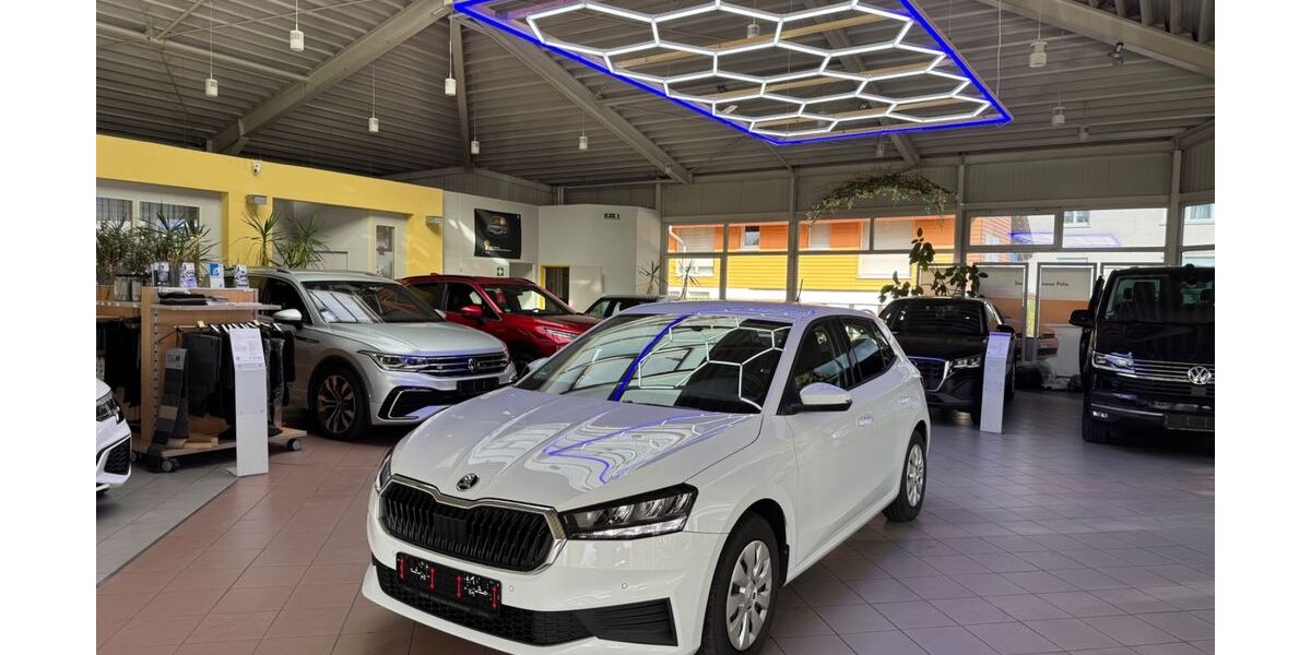 Skoda Fabia 44.624 km 16.980 &euro; Oberderdingen 75038