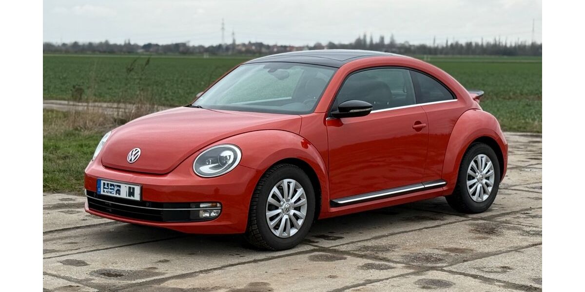 VW Beetle 100.120 km 20.300 &euro; Wiedemar 04509