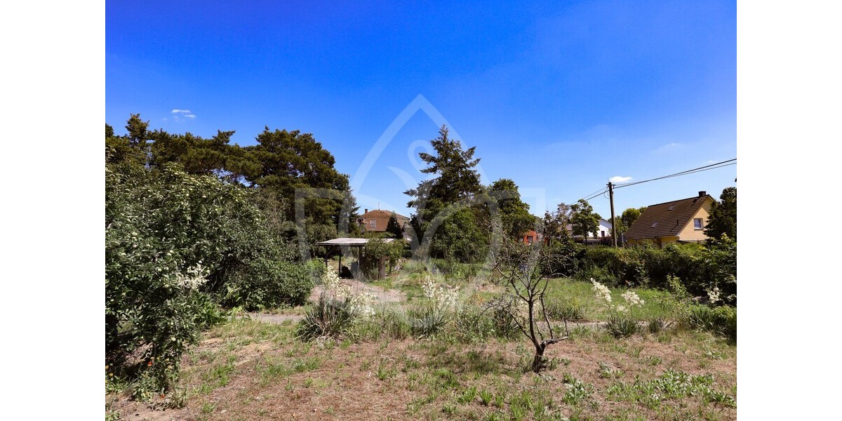 Großes Projektgrundstück ca. 2.195 m² mit Altbestand – Petershagen - Grundstück Petershagen-Eggersdorf Eggersdorf | Angebot:24946487