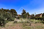 Großes Projektgrundstück ca. 2.195 m² mit Altbestand – Petershagen - Grundstück Petershagen-Eggersdorf Eggersdorf | Angebot:24946487