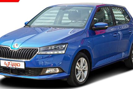 Skoda Fabia 96.365 km 12.490 &euro; Magdeburg 39118