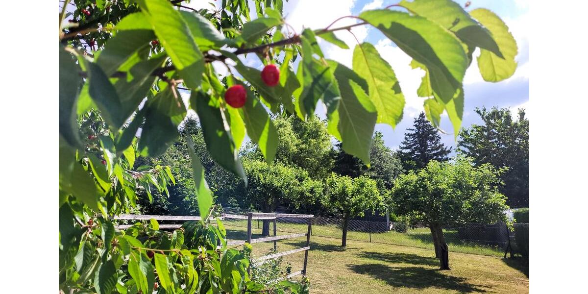 Freistehendes EFH in ruhiger Top-Lage von Freital 5 zimmer