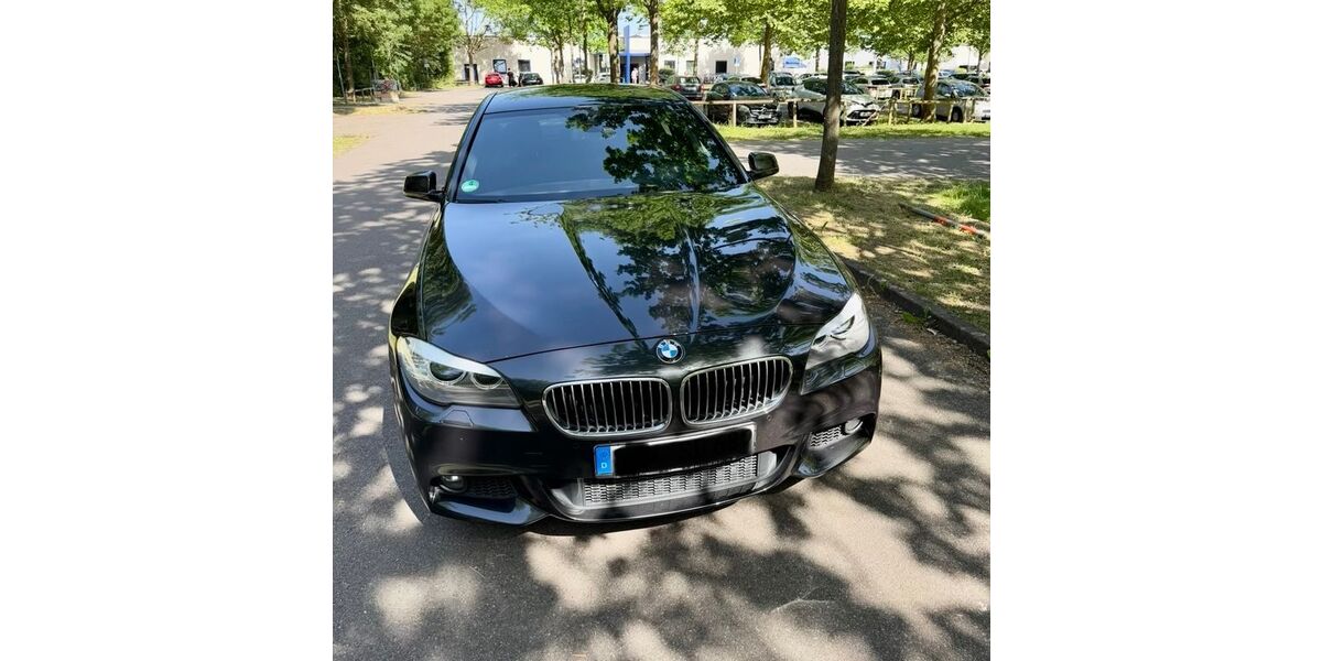 BMW 525 216.500 km 10.999 &euro; Maikammer 67487