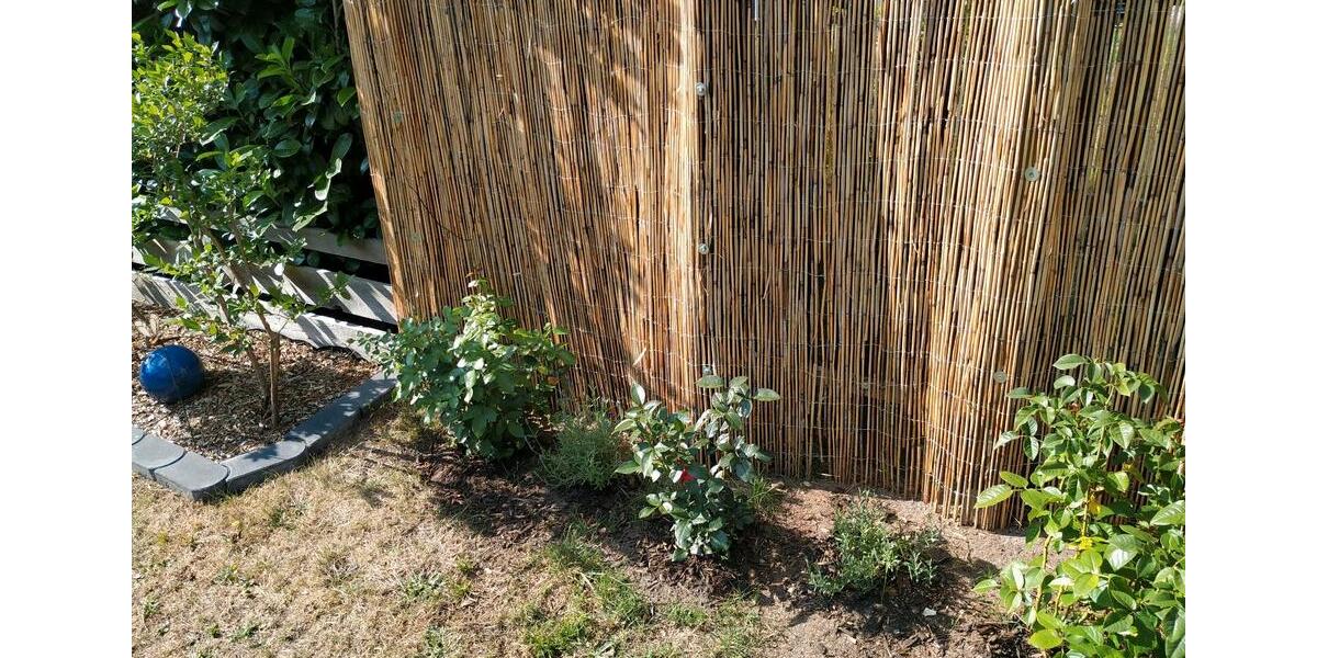 Einfamilienhaus Soltau - 3 Zimmer, 40 m&sup2;, 82.500&euro; | Angebot:27122516