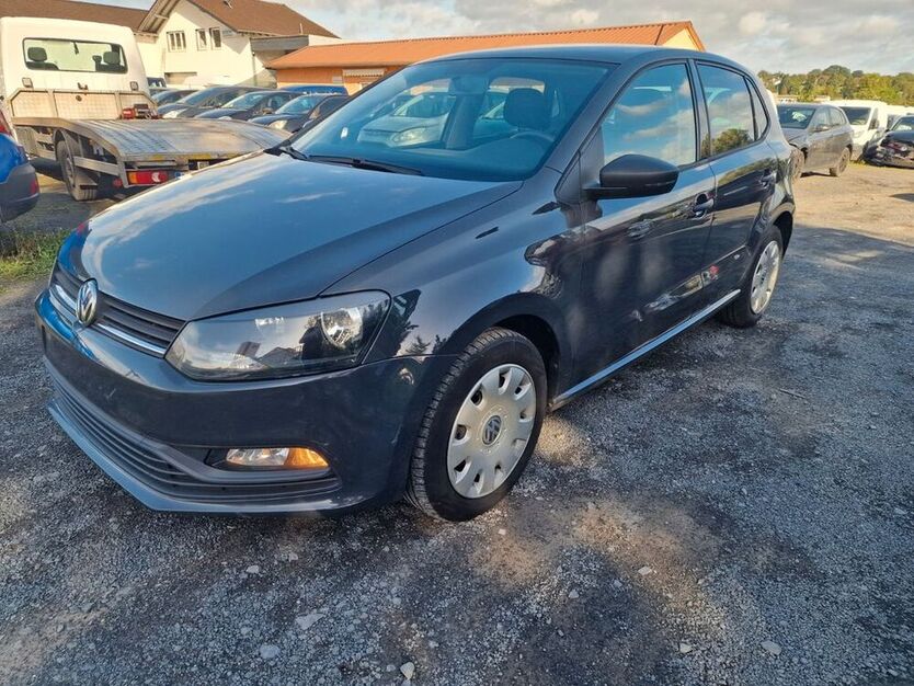 Polo