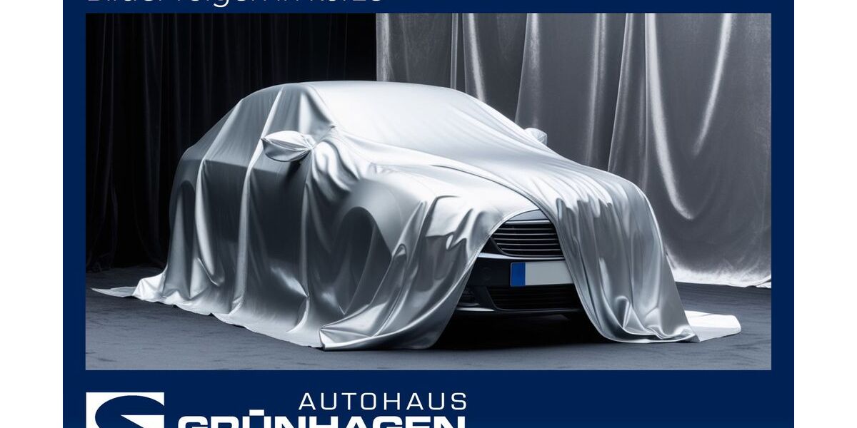 Cupra Terramar 25.796 km 33.980 &euro; Hoya 27318