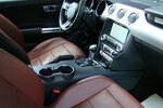 Mustang 5.0 GT Coupé Navi Kamera SHAKER