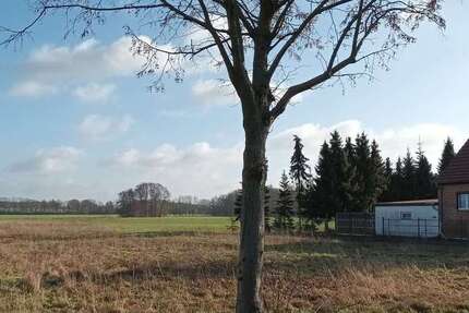 Grundstück Dallmin Dallmin - 28.000&euro; | Angebot:24176605