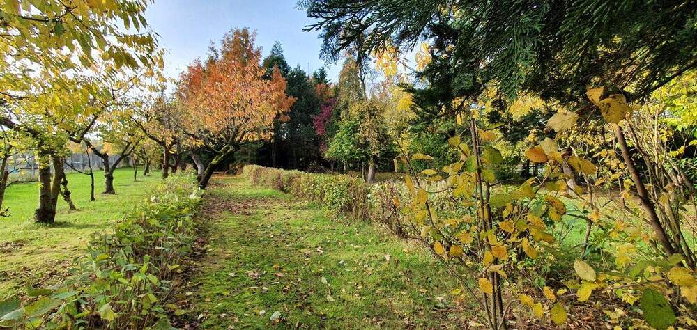 Viel Platz für Ihre Ideen - 2 Häuser * Bürohaus * Ladengeschäft * Wirtschaftsgebäude * 4 Garagen * Wald uvm. - Mehrfamilienhaus, Wohnhaus Arendsee (Altmark) Fleetmark | Angebot:25536497