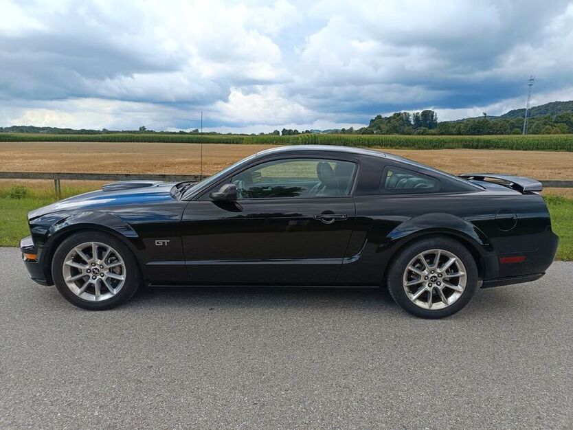 Mustang