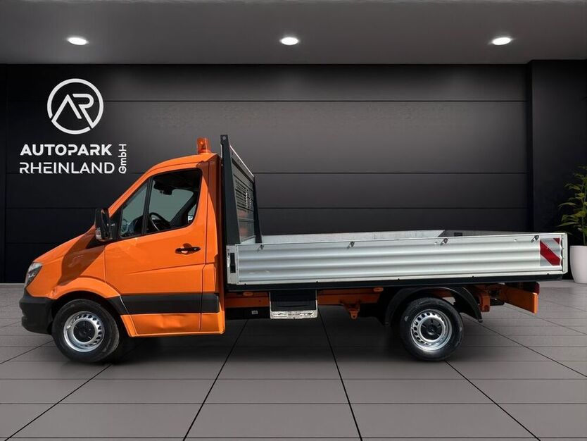 Sprinter