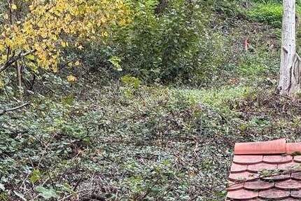 Grundstück Leinsweiler - 248.000&euro; | Angebot:24040504