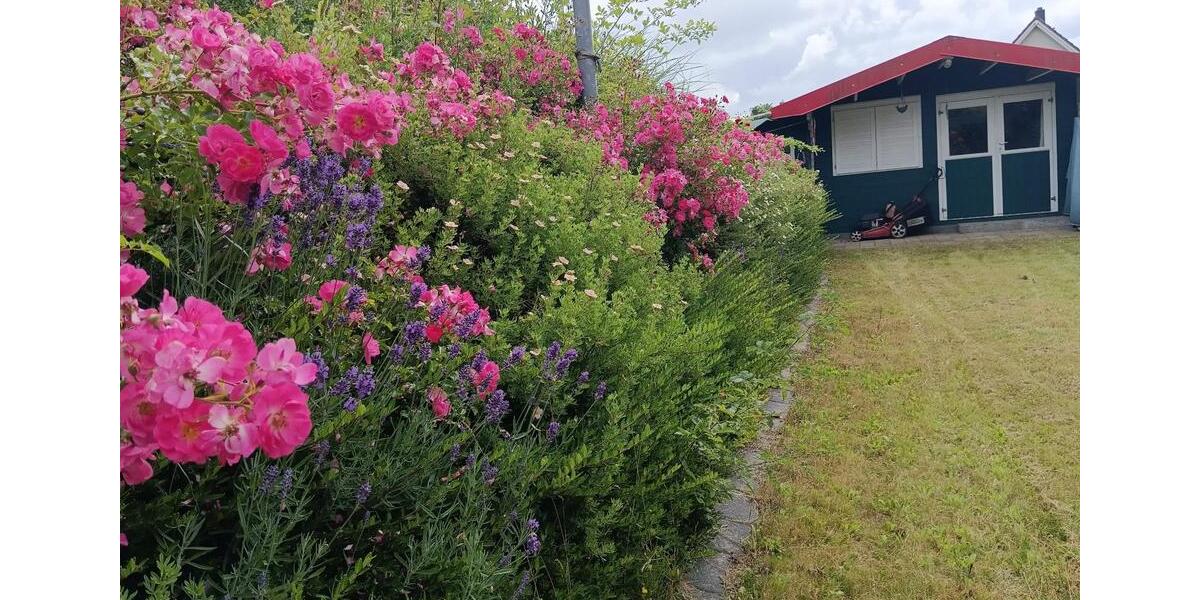 Einfamilienhaus Bad Doberan - 5 Zimmer, 90 m&sup2;, 398.000&euro; | Angebot:25397045