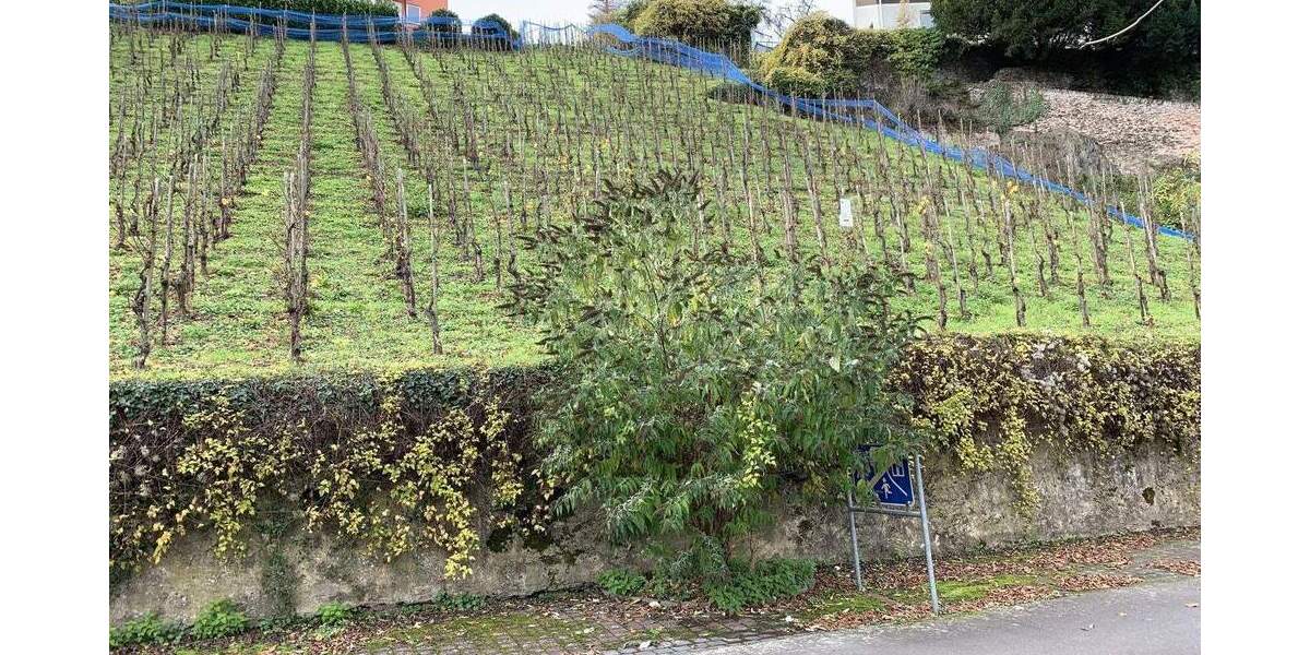 Grundstück Alf - 65.300&euro; | Angebot:25692937