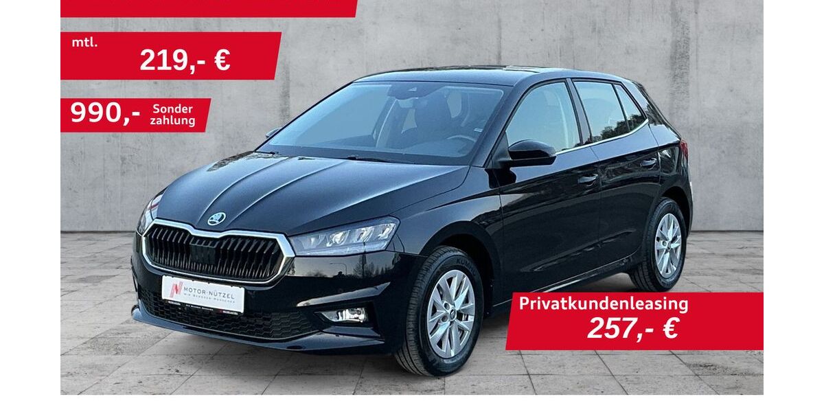 Skoda Fabia 26.082 km 17.260 &euro; Hof 95030