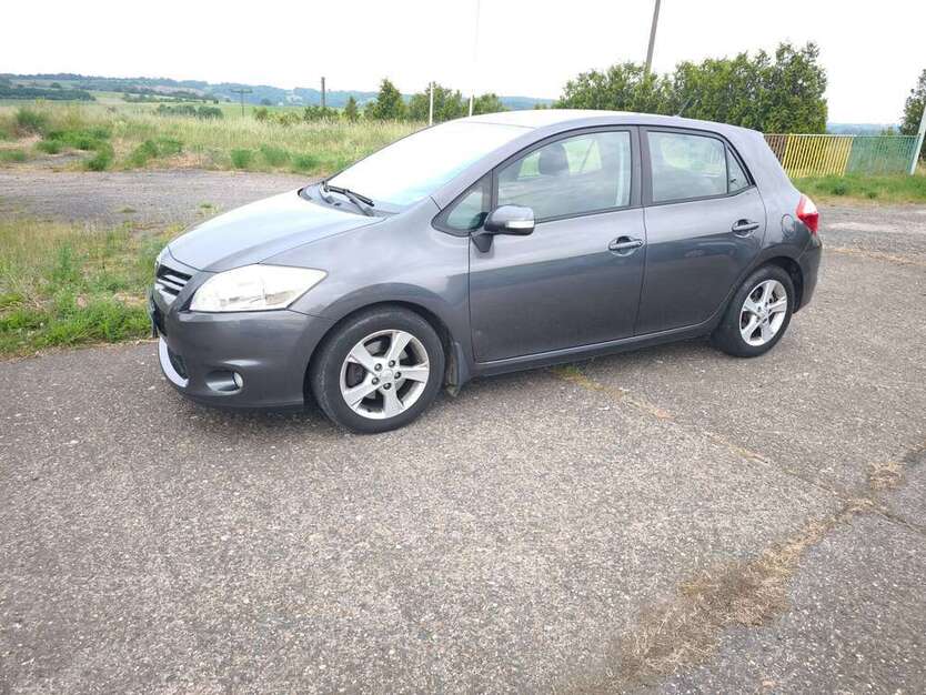 Auris