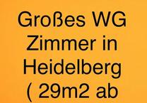 WG-Zimmer (29 m²) in Heidelberg ab sofort frei!