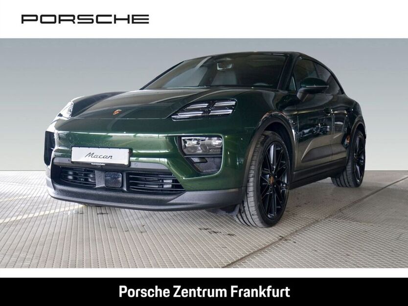 Macan