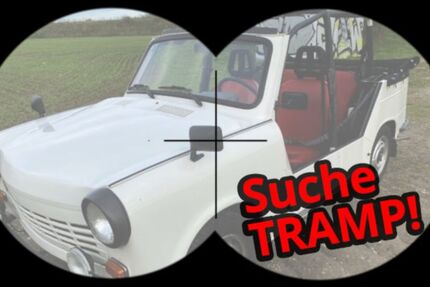 Trabant Andere 43.434 km 19.990 &euro; Berlin 12559