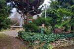 Einfamilienhaus Gotha - 115.000&euro; | Angebot:26703657