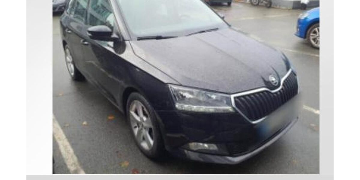 Skoda Fabia 56.999 km 12.412 € Lauf an der Pegnitz 91207