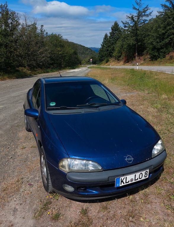 Tigra