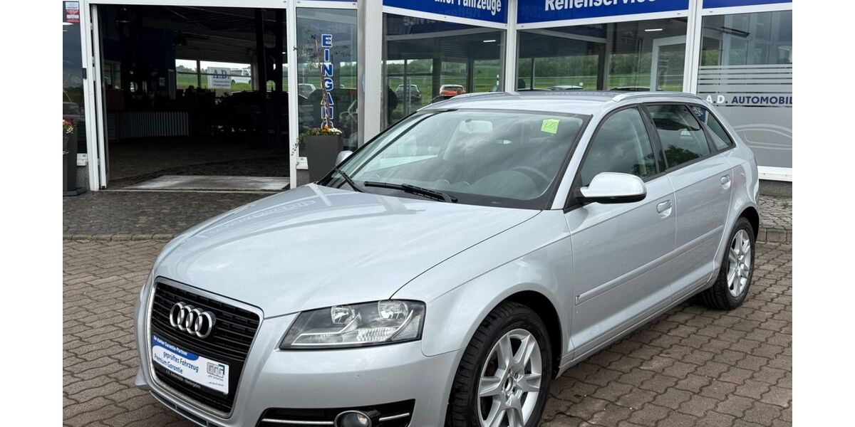 Audi A3 96.280 km 7.990 &euro; Niedergebra 99759