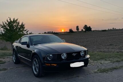 Ford Mustang 69.000 km 17.500 € Walsdorf 96194