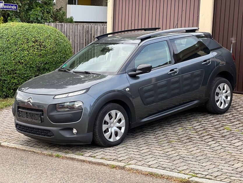 C4 Cactus