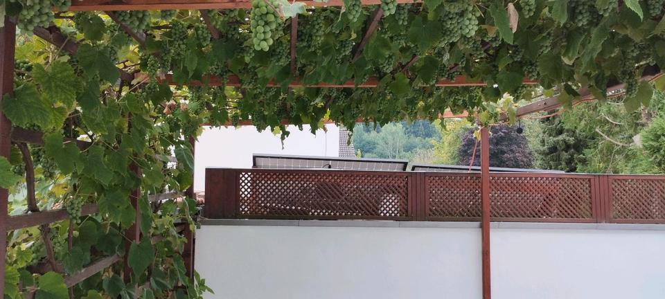 Doppelhaushälfte Aystetten - 5 Zimmer, 130 m&sup2;, 665.000&euro; | Angebot:26660153