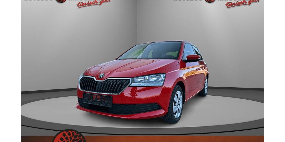 Skoda Fabia 61.171 km 10.790 &euro; Wilhelmsdorf 88271