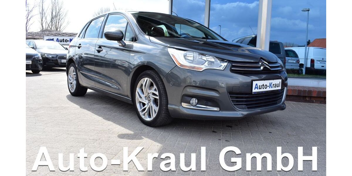 Citroen C4 97.119 km 2.849 &euro; Rehna 19217