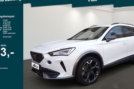 Cupra Formentor 139.000 km 18.999 &euro; Lindenberg 88161