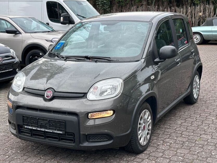 Panda