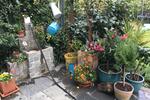 Doppelhaushälfte Plauen Alt Chrieschwitz - 7 Zimmer, 155 m&sup2;, 345.000&euro; | Angebot:26382917